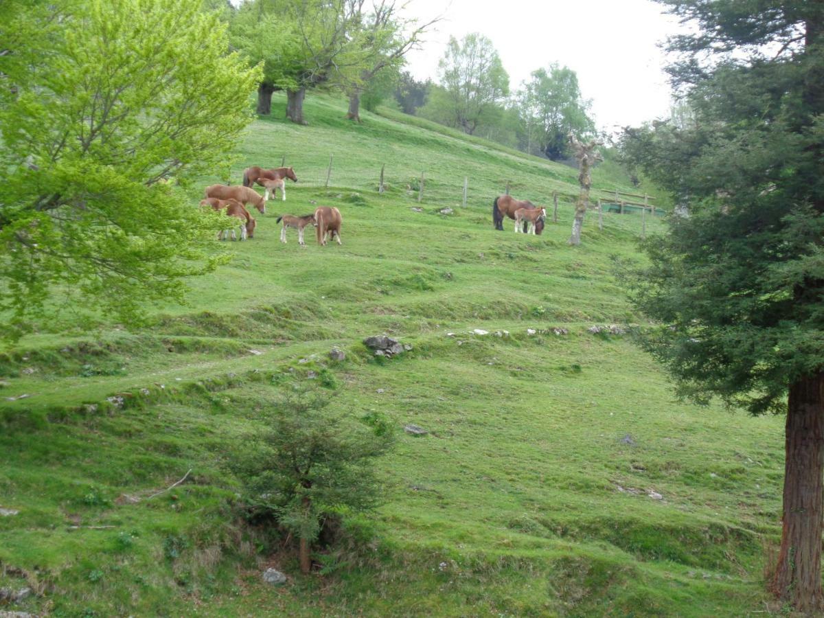 Casa Rural Alustiza Pension Villabona Buitenkant foto